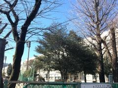 大和小学校