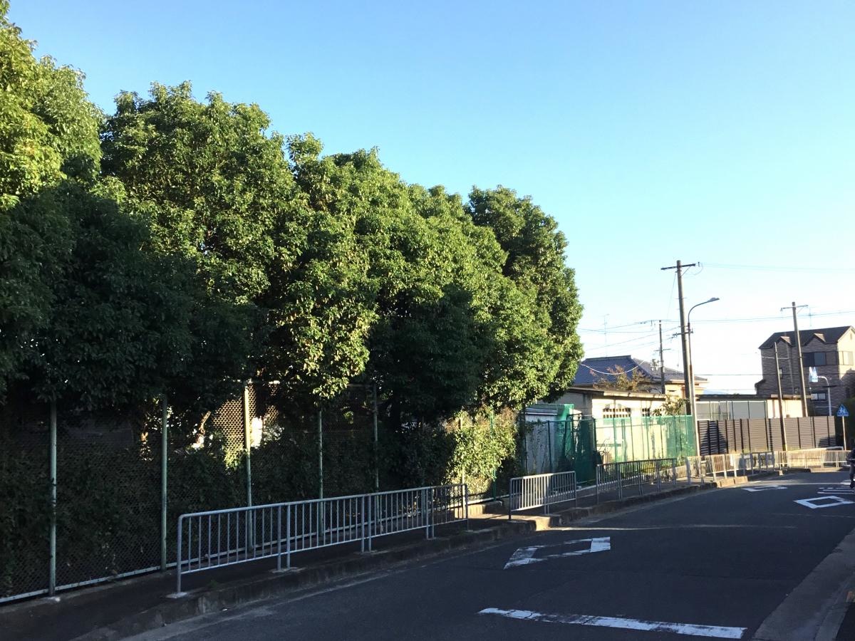 富田幼稚園