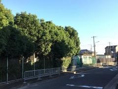 富田幼稚園