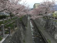 一本松川緑道