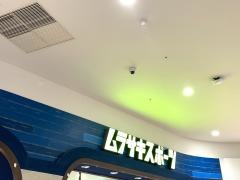 ムラサキスポーツ　イオンモール鹿児島店