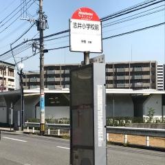 「志井小学校前」バス停留所