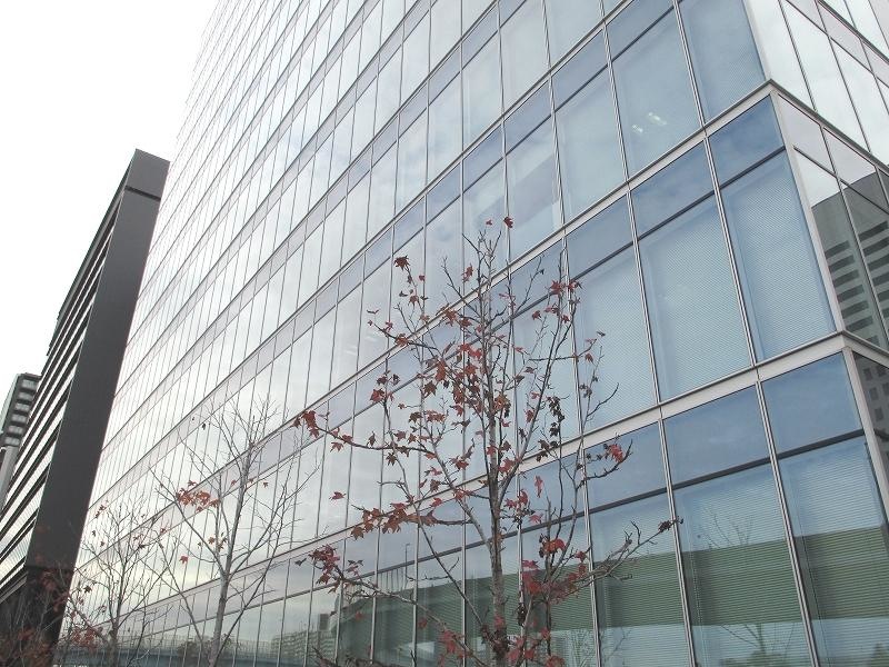 企業(株式会社ブロードリーフ)の写真