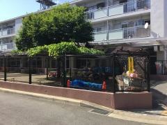 山中保育園