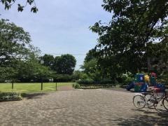 桜川公園