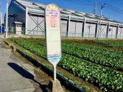 「寒川工業団地入口」バス停留所