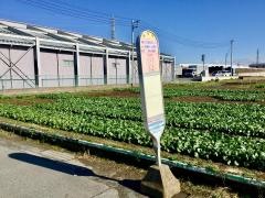 「寒川工業団地入口」バス停留所