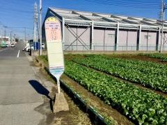 「寒川工業団地入口」バス停留所