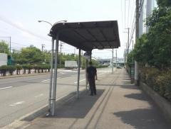 「阪神鳴尾浜球場前」バス停留所