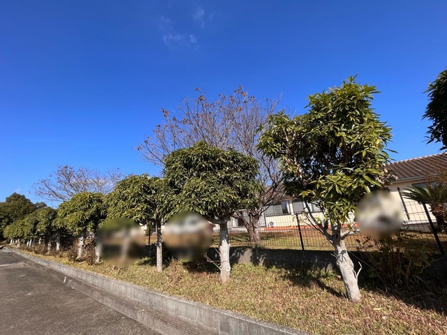 あかつき