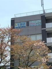 七田式　流山おおたかの森教室