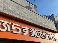 ぷらす鍼灸整骨院 向ヶ丘遊園院