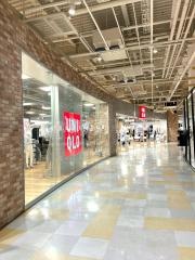 ユニクロ　市川コルトンプラザ店