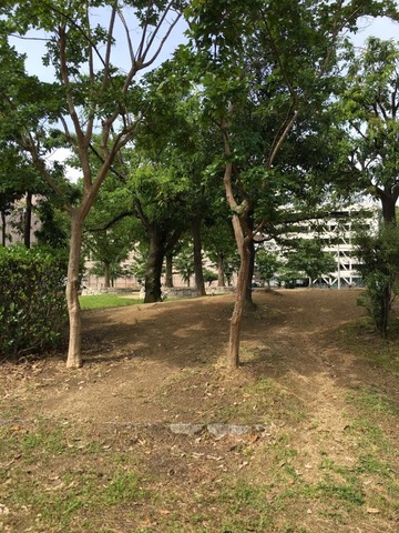 施設写真28