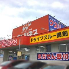 ドラッグストアウェルネス角盤店