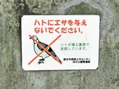 花畑公園