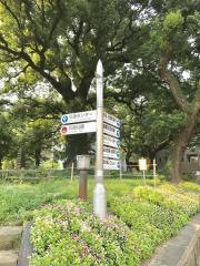 花畑公園
