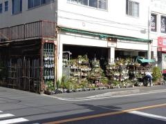 中村園芸金魚店