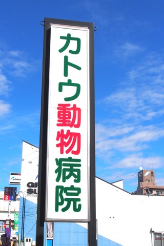 施設写真11
