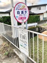 「白須下」バス停留所
