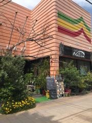 ｃａｆｅ　Ｎａｔｉｏｎ