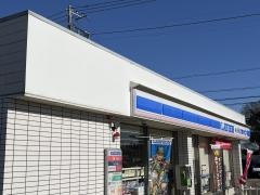 ローソン・スリーエフ　八街沖十文字店