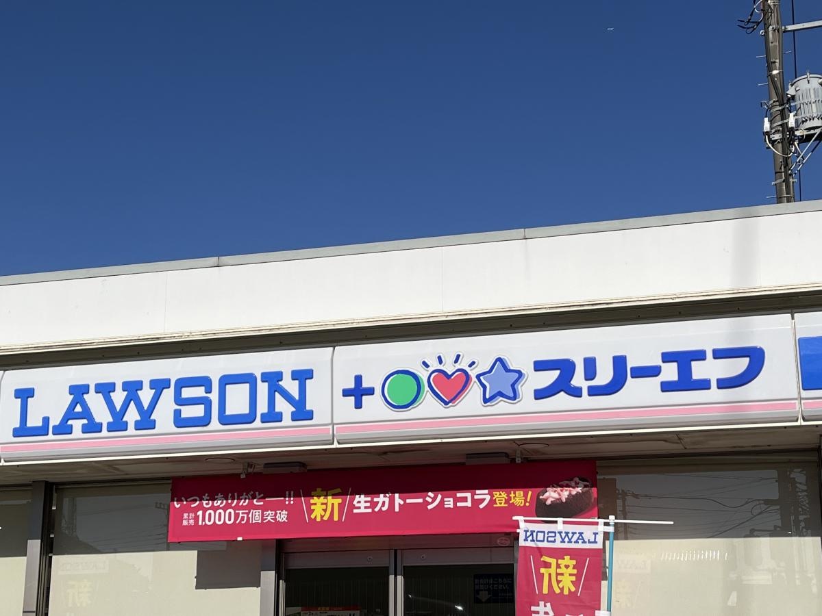 ローソン・スリーエフ　八街沖十文字店