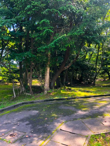 施設写真2