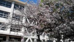 村岡小学校