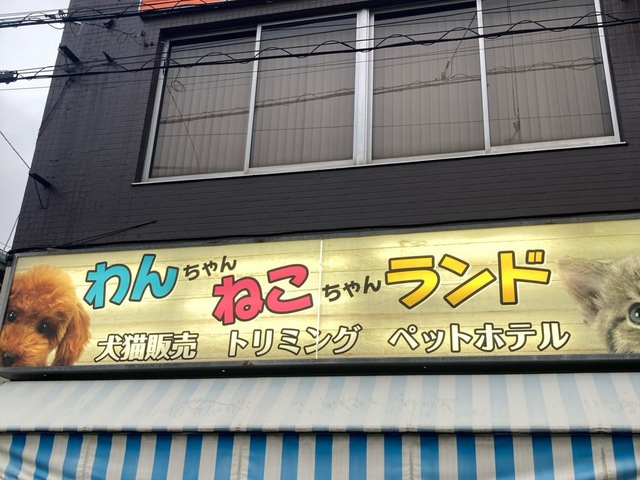 わんちゃんねこちゃんランド／ホームメイト