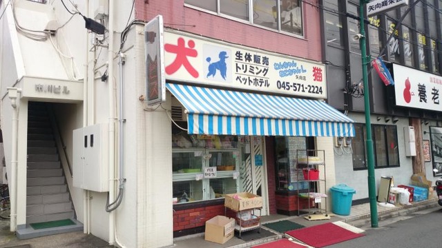 投稿写真5