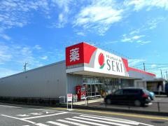 ドラッグストアセキ松伏店