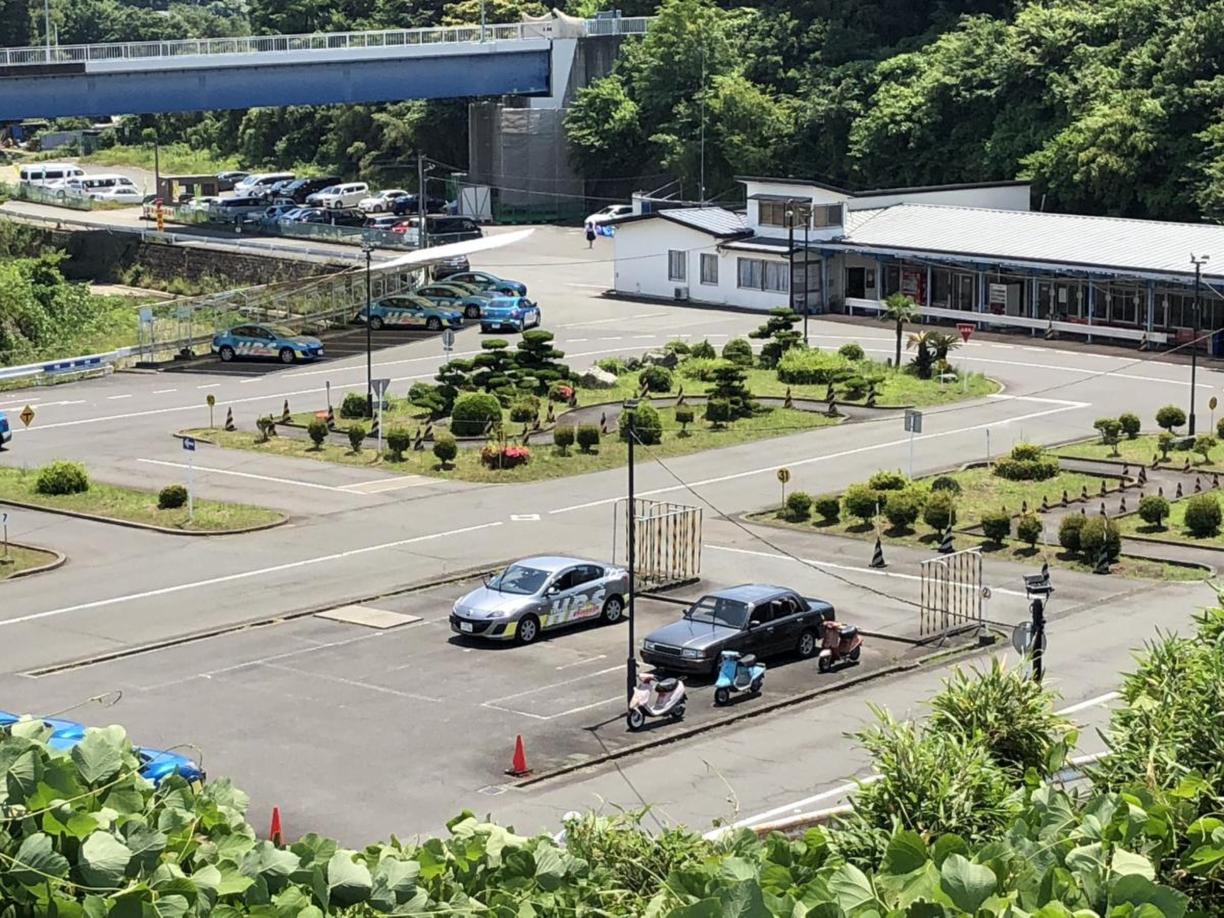 公の場での発言・インタビュー報道記録