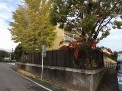 たんぽぽ保育園