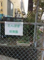 たんぽぽ保育園