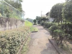 泉西緑道