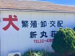新丸荘