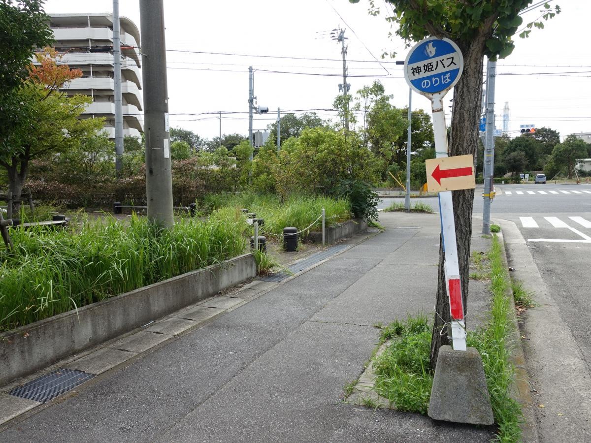 「白浜南住宅」バス停留所