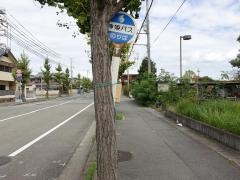 「白浜南住宅」バス停留所