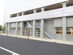 豊田市柔道会　豊田教室