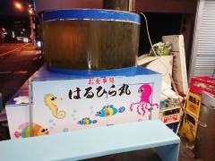 民宿はるひら丸