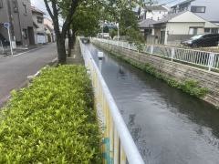 庄内用水緑道