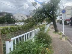 庄内用水緑道