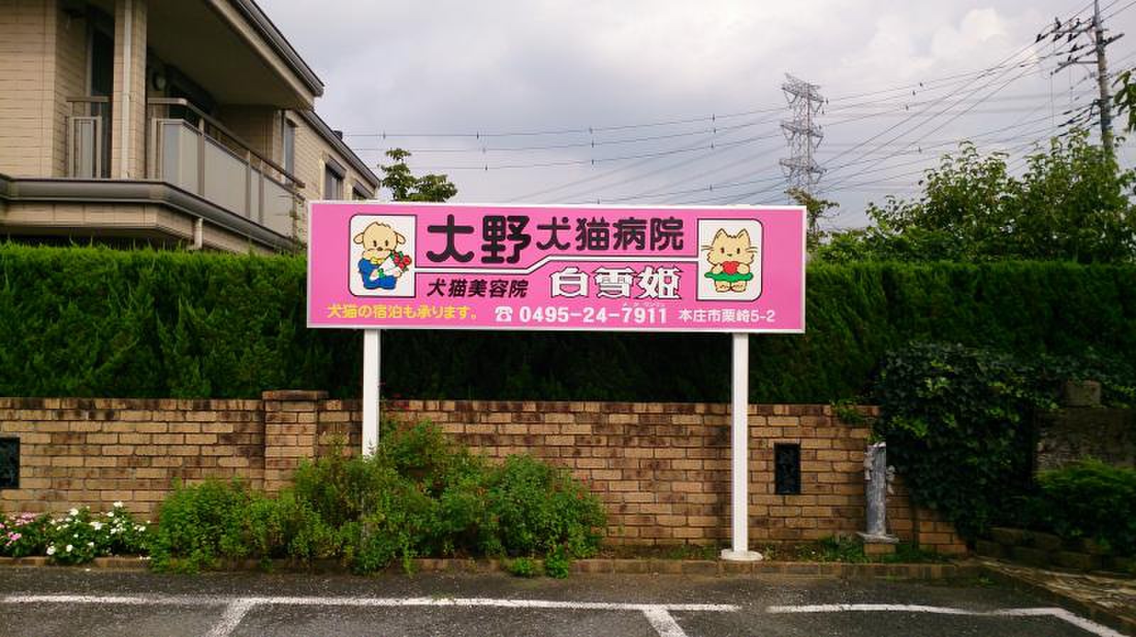公の場での発言・インタビュー報道記録