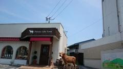 ｃｈｅｅｓｅ　ｃａｋｅ　ｆａｒｍ（チーズケーキファーム）