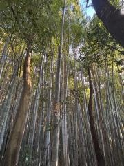 三輪神社