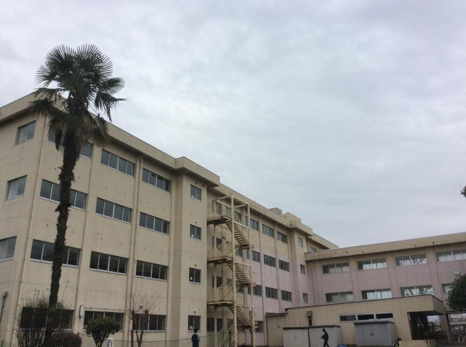 相模原 市立 麻溝台 中学校