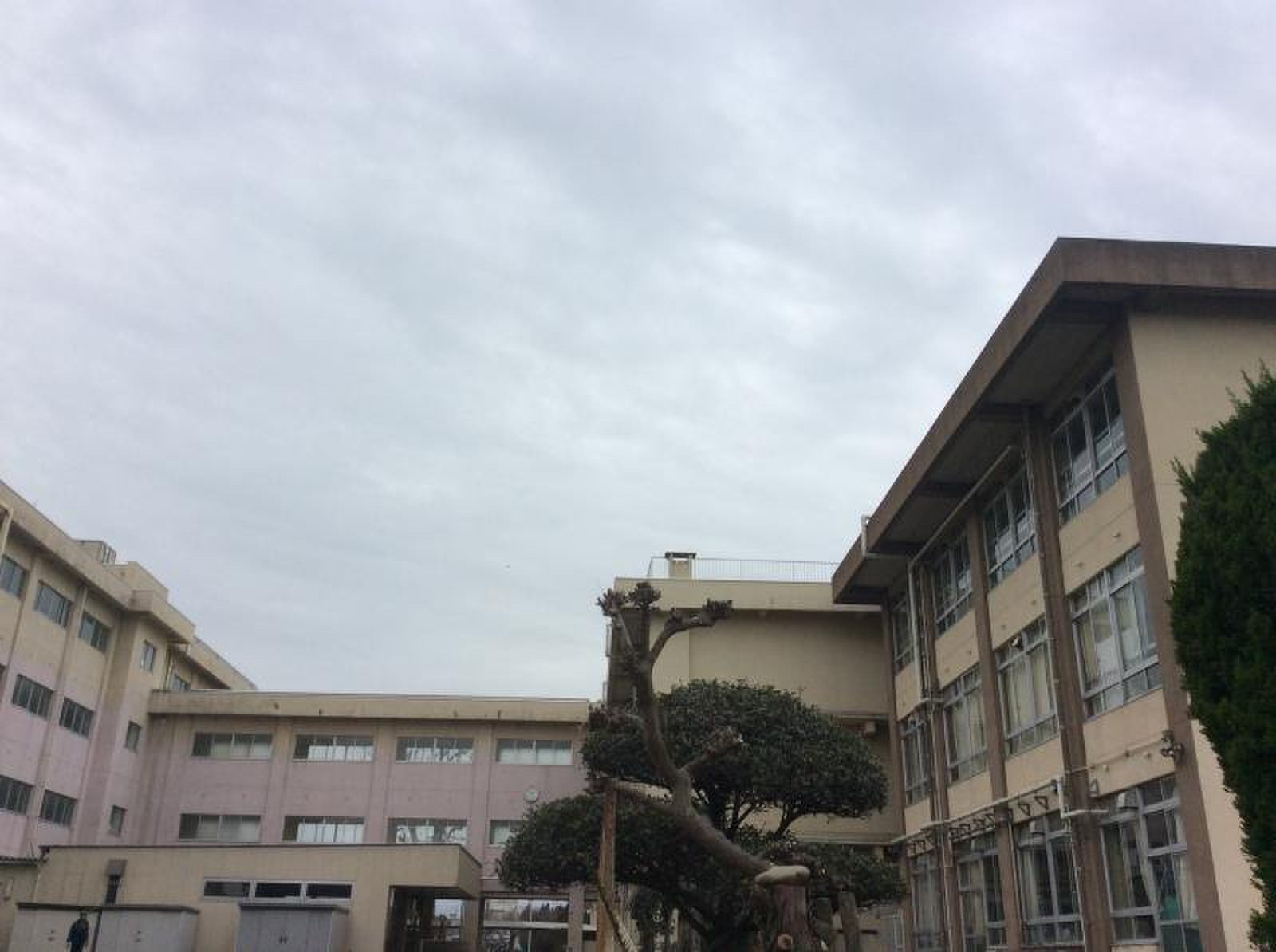 相模原 市立 麻溝台 中学校