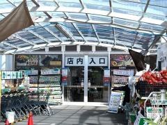 ホームセンターコーナン　茄子作南店