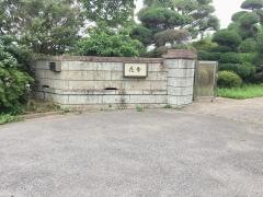 花季